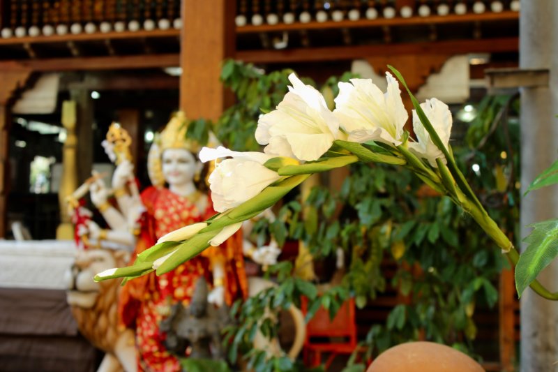Gangaramaya Temple flowers, Colombo
