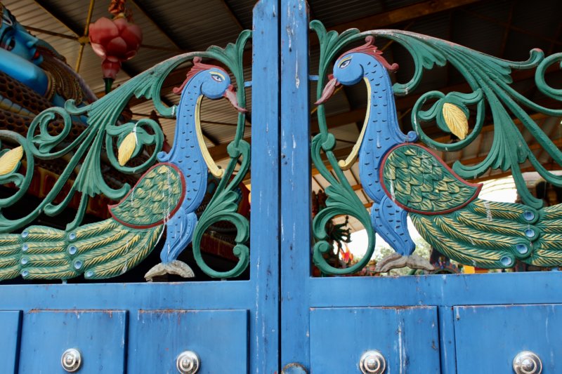 Hindu temple peacock gate