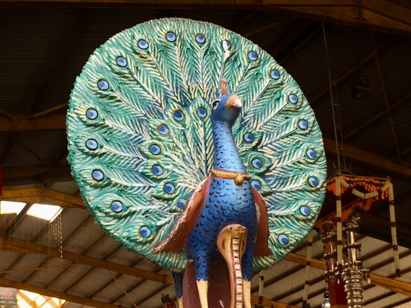 Hindu temple peacock statue