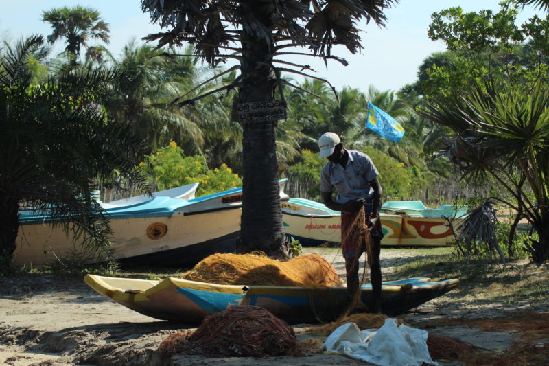 Kalpitiya fisherman