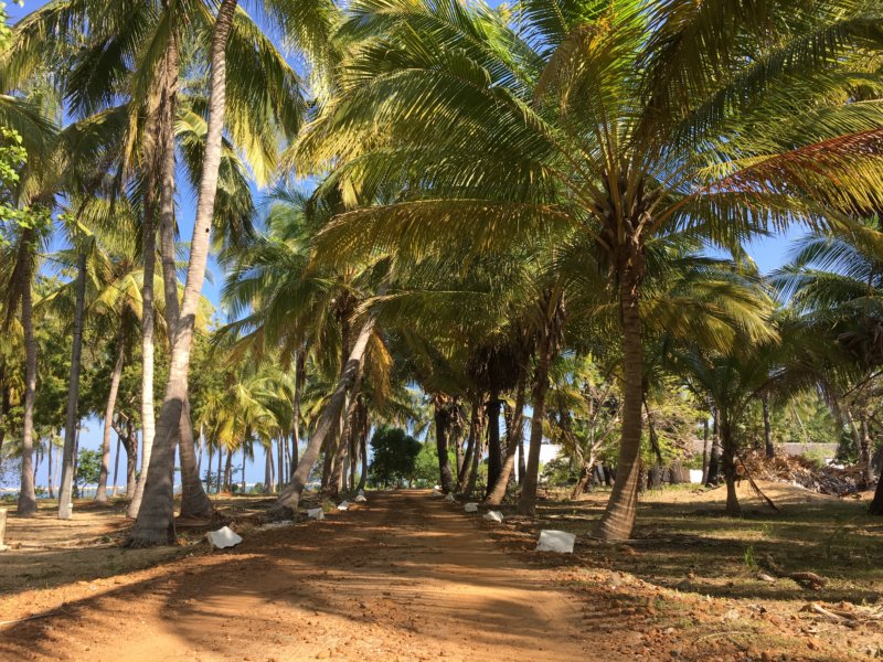 Villa Kalpitiya road