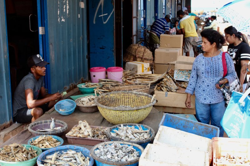 Negombo fish market