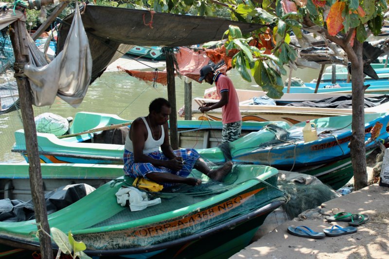 Negombo fishermen