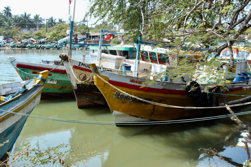 Negombo fishing boats