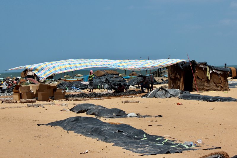Negombo fishing harbor