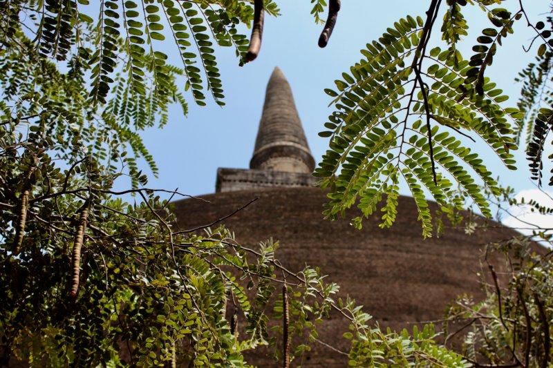 Dreaming about travel: Polonnaruwa stupa, Sri Lanka