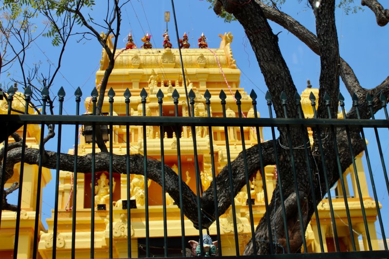 Temple, Colombo to Kalpitiya