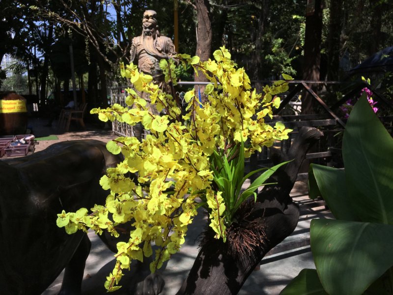 Temple flowers and statue, Colombo