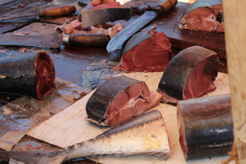 Tuna fish