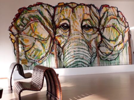 Aliya, an elephant