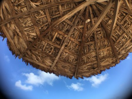 Coconut sunshade Coconut sunshade