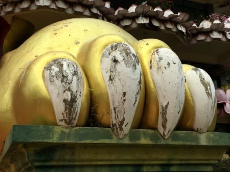 Dambulla Golden Temple paw