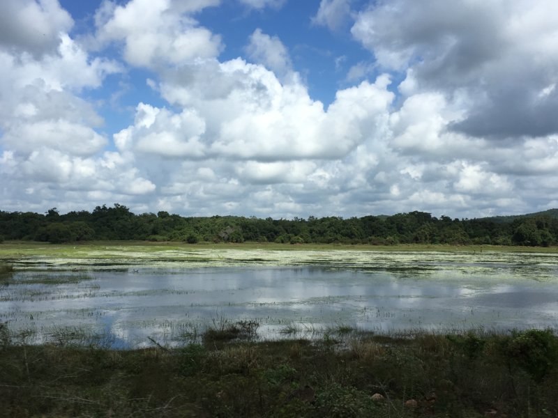 Sri Lanka's East Coast, lagoon Sri Lanka's East Coast ,lagoon