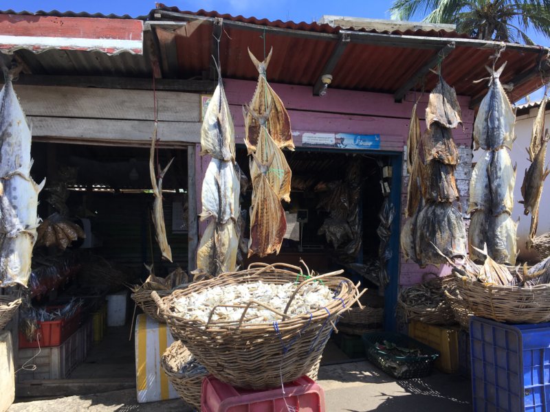 Drying fish on Sri Lanka's East Coast Drying fish on Sri Lanka's East Coast