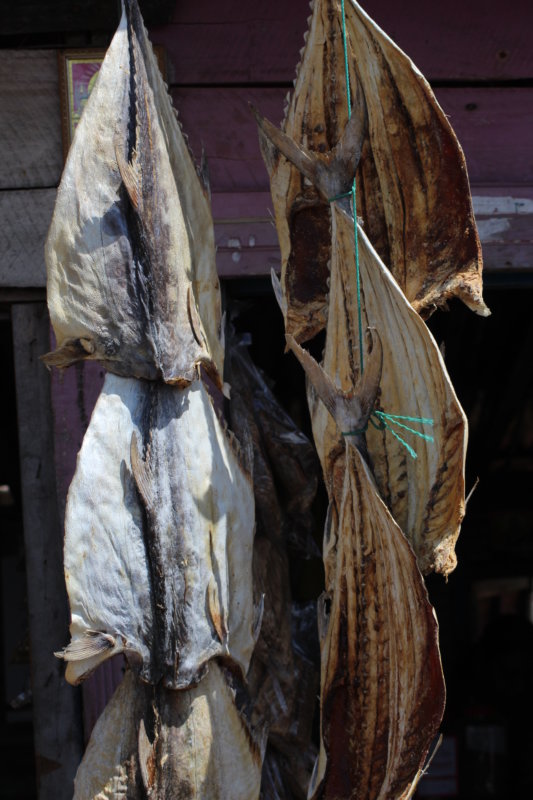 Drying fish on Sri Lanka's East Coast Drying fish, Trincomalee