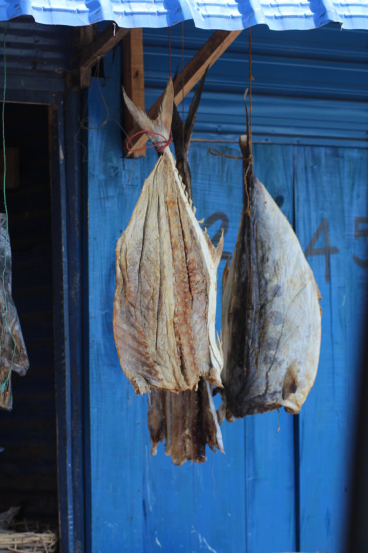 Fish drying, Trincomalee Fish drying, Trincomalee