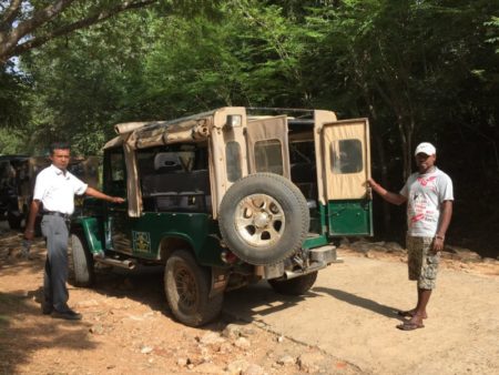 Kaudulla safari