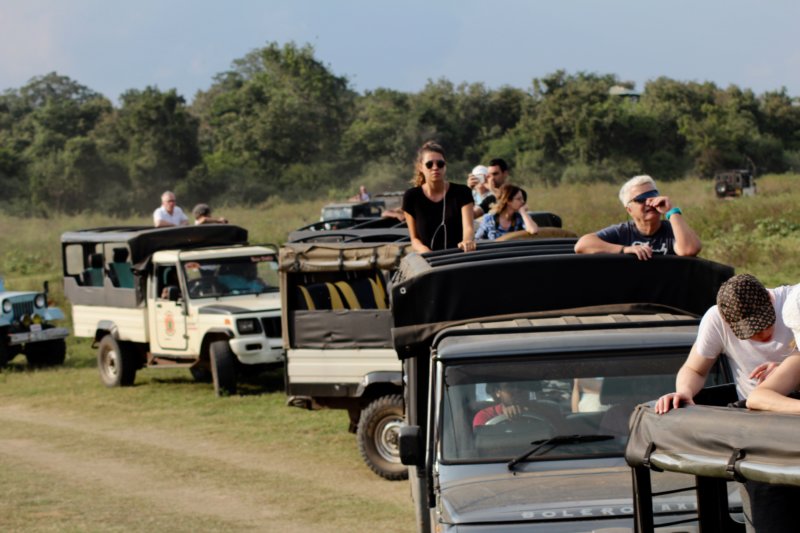 Kaudulla National Park visitors in jeeps