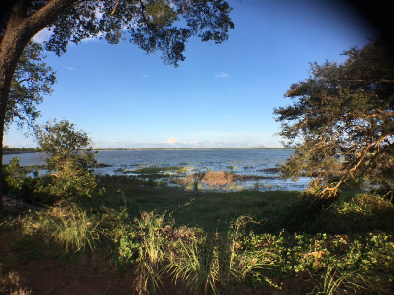 Lakeside view of Nuwarawewa