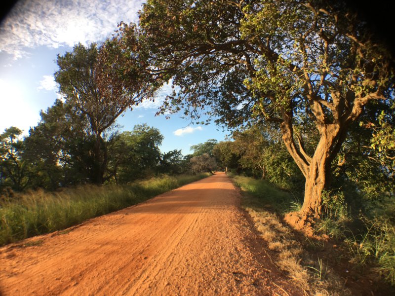 Nuwarawewa lakeside walk