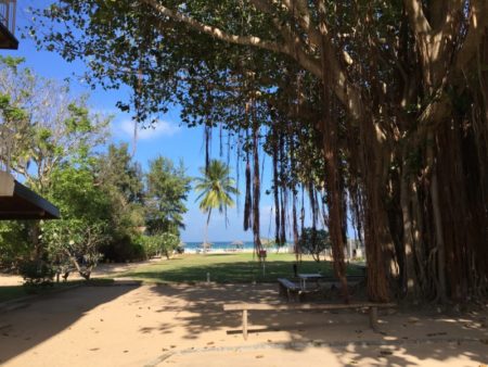 Pigeon Island Resort gardens Pigeon Island Resort gardens