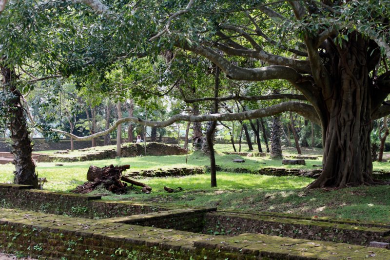 Polonnaruwa ruins