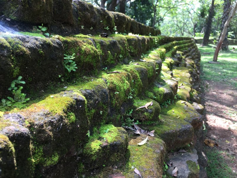 Polonnaruwa stone wall