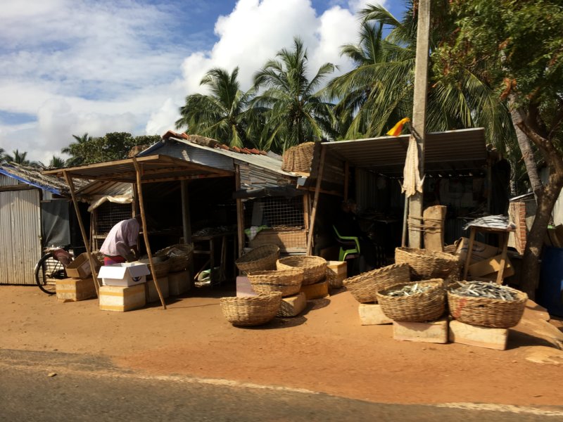 Sri Lanka's East Coast , fish stalls Roadside huts