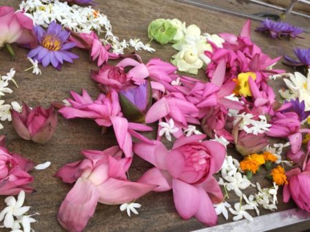 Lotus flower offerings