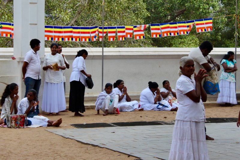 Sri Maha Bodhi Tree prayers