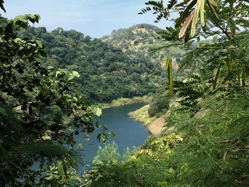Driving from Kandy to Nuwara Eliya