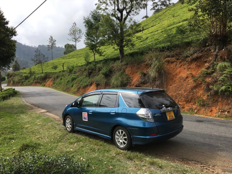 Driving through Sri Lanka's tea country