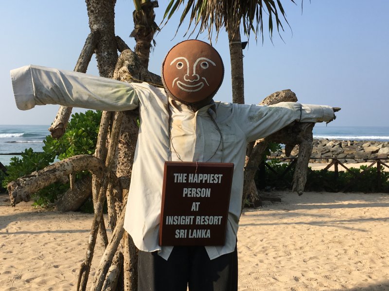 Insight Resort the happiest person