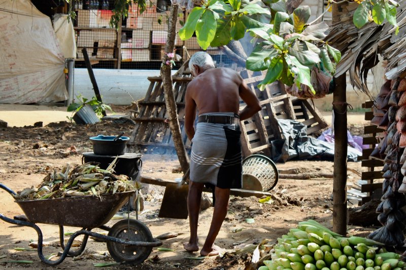Man at his work, Sri Lanka's South Coast