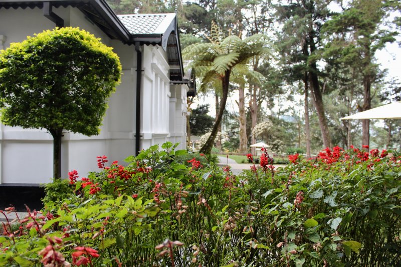 Mirage Kings Cottage Nuwra Eliya