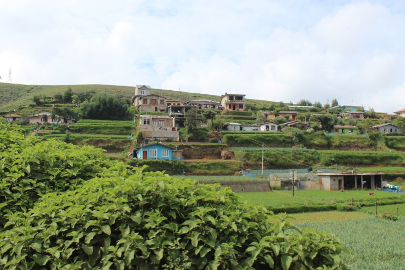 Homes and gardens near Nuwara Eliya, Sri Lanka