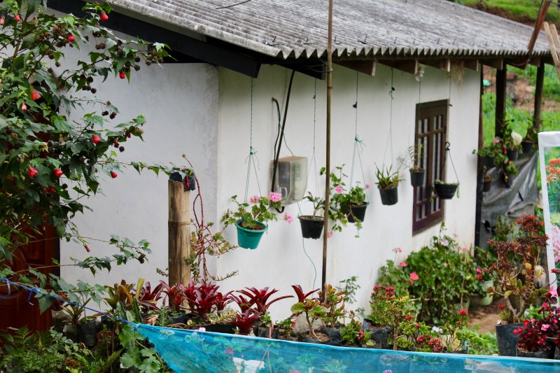 Nuwara Eliya house and garden