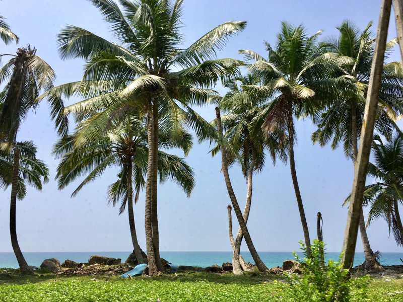 Sri Lanka's South Coast after tsunami