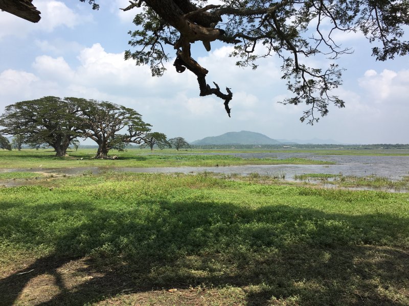 Tissawewa, one of Tissamaharama's artificial lakes