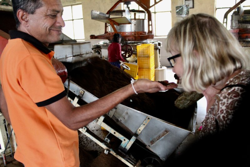 Trying tea, Liddesdale factory Sri Lanka