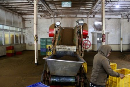 Working in Sri Lankan tea factory