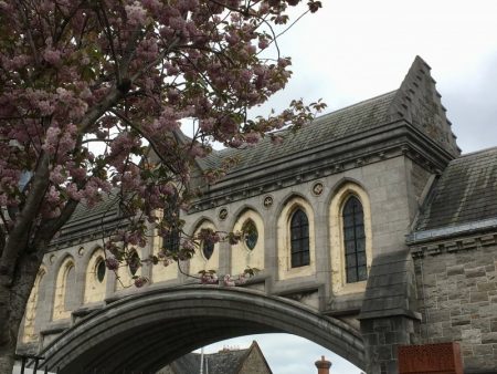 Christ Church Cathedral, self-guided Dublin walking tour