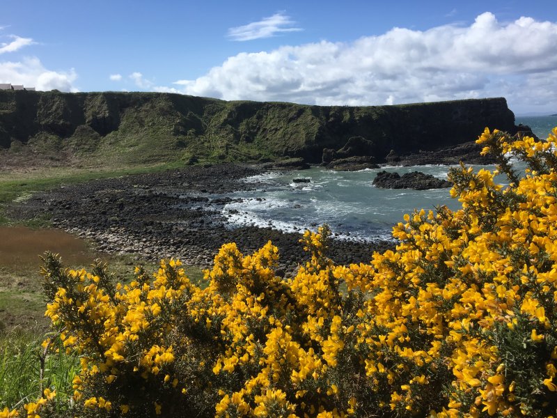 Giant's Causeway scenery