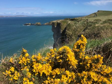 Walk to Carrick-a-Rede rope bridge