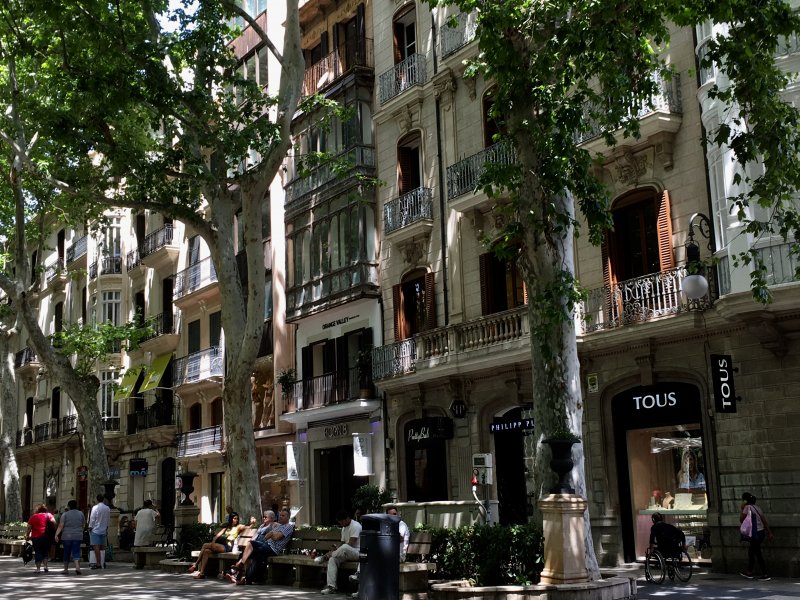 Shady avenue of Passeig des Born Shady avenue of Passeig des Born
