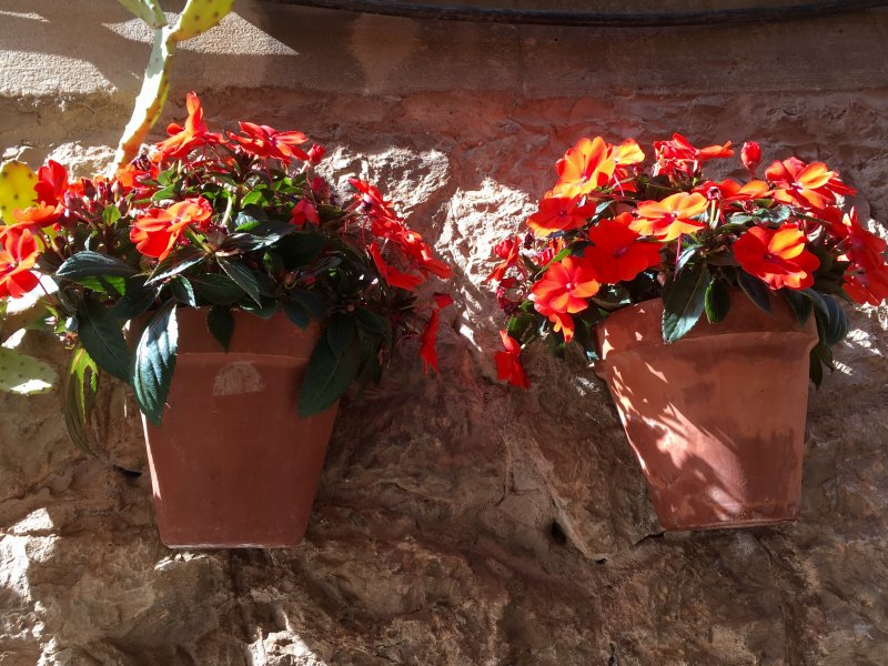 Valldemossa flower pots Valldemossa flower pots