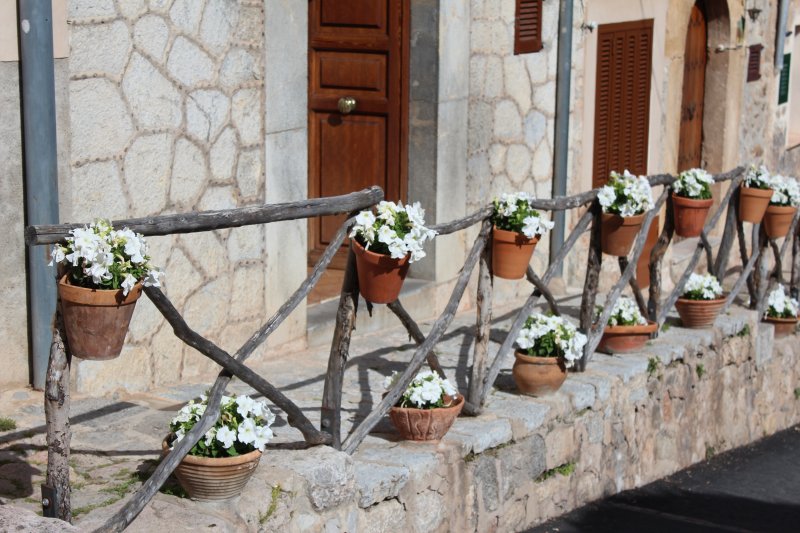 Valldemossa flower decorations Valldemossa flower decorations
