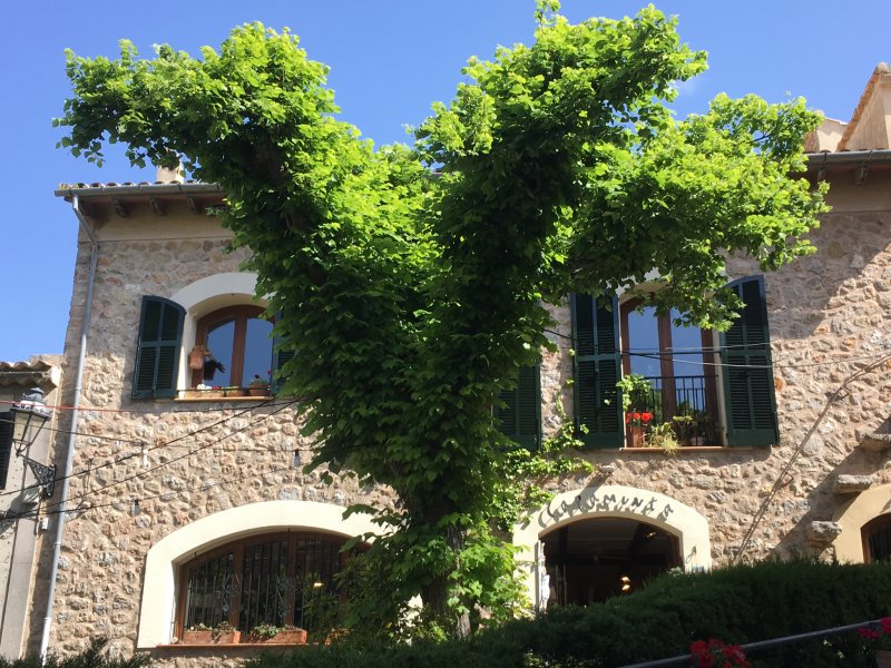 Valldemossa, Serra de Tramuntana