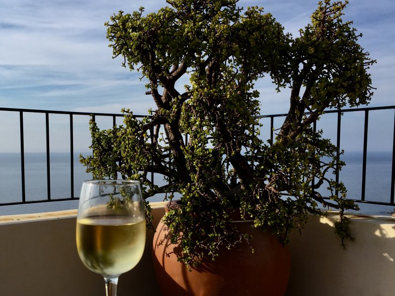 Sea view and Banyalbufar wine White wine with view, Banyalbufar