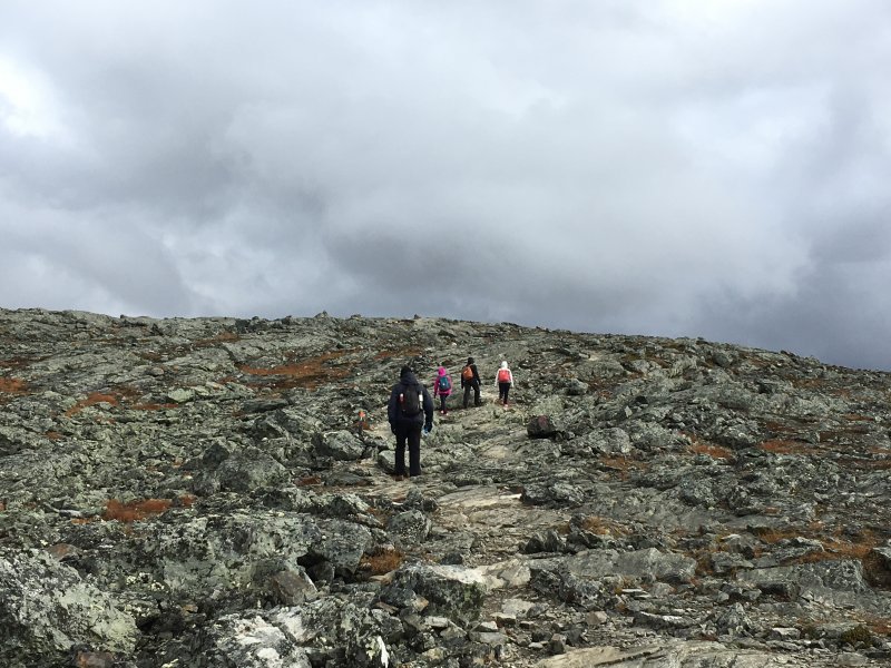 Hike to Saana fell: reaching the top